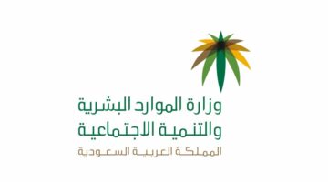 خدمة الشمولية الرقمية لذوي الهمم وكبار السن في الضمان الاجتماعي.. خطوات التسجيل والاشتراك بالخدمة